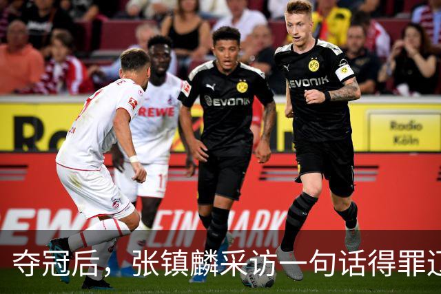 夺冠后，张镇麟采访一句话得罪辽宁！辽蜜：有本事到四川证明价值